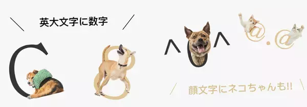 「一文字一匹「保護犬フォント」登場　猫も収録、支援広げる書体が日本へ」の画像