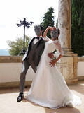 「イタリア古城に石仮面夫婦現る？ジョジョ好き同士が結婚式で推し愛炸裂」の画像1