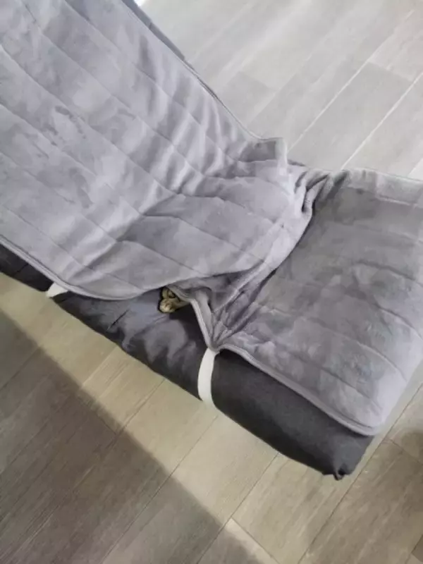 「テレワーク中の椅子取り合戦、人間側が完全敗北　理由：猫が可愛い」の画像