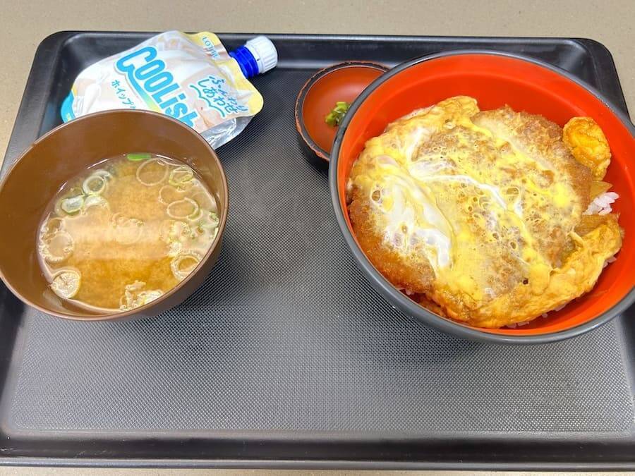 かつ丼にクーリッシュをかけて召し上がれ！富士そばの期間限定メニューが想像以上だった