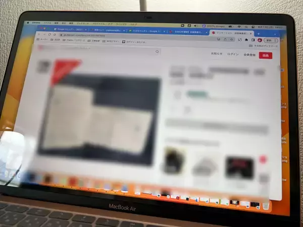闇が深すぎ！ネットで「妊娠検査薬の説明書だけ」が販売中　使用目的の可能性にゾッとした