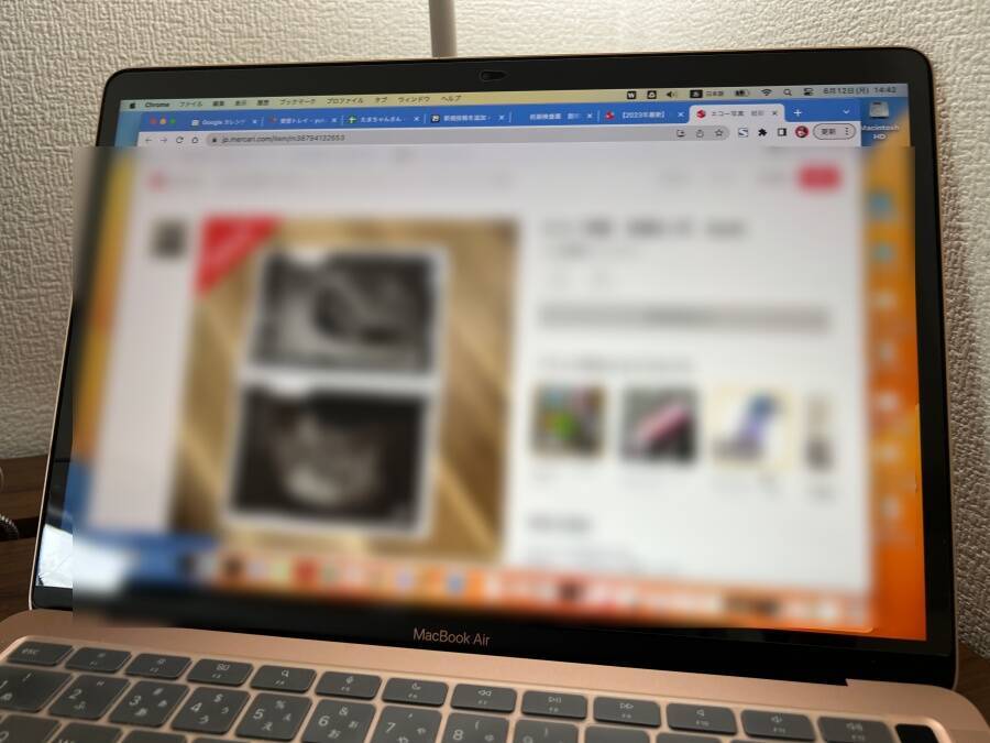 闇が深すぎ！ネットで「妊娠検査薬の説明書だけ」が販売中　使用目的の可能性にゾッとした