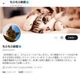 「「もふもふ動画」はただの無断転載アカウントではない？その正体に迫る＜前編＞」の画像1