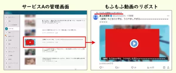 「「もふもふ動画」はただの無断転載アカウントではない？その正体に迫る＜前編＞」の画像