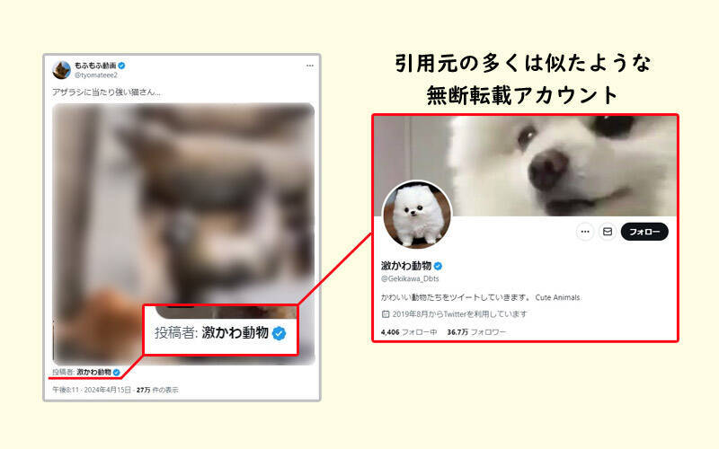 「もふもふ動画」はただの無断転載アカウントではない？その正体に迫る＜前編＞