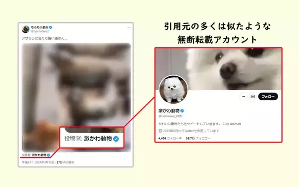 「「もふもふ動画」はただの無断転載アカウントではない？その正体に迫る＜前編＞」の画像