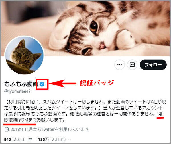 「もふもふ動画」はただの無断転載アカウントではない？その正体に迫る＜前編＞