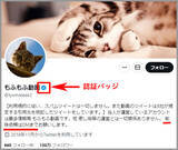 「「もふもふ動画」はただの無断転載アカウントではない？その正体に迫る＜前編＞」の画像4