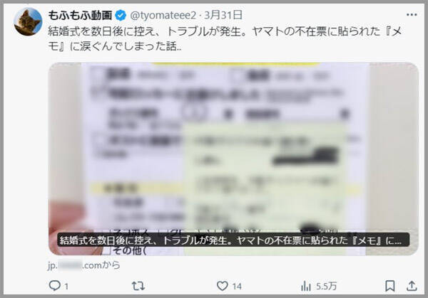 「もふもふ動画」はただの無断転載アカウントではない？その正体に迫る＜前編＞