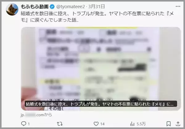 「「もふもふ動画」はただの無断転載アカウントではない？その正体に迫る＜前編＞」の画像