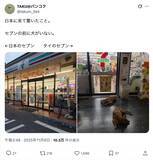 「タイと日本のセブン−イレブン、店先に広がる“決定的な違い”が話題」の画像1