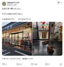 タイと日本のセブン−イレブン、店先に広がる“決定的な違い”が話題