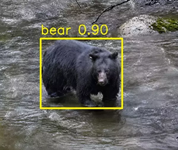 AIがクマを検知して通知　既存の監視カメラと連携できる「MIRAI-X KUMA」出荷開始