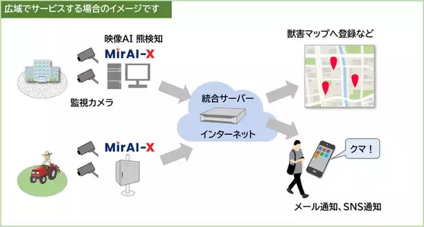 「AIがクマを検知して通知　既存の監視カメラと連携できる「MIRAI-X KUMA」出荷開始」の画像