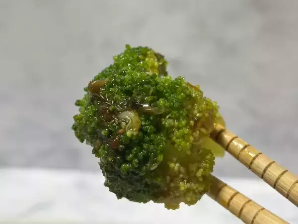 「ヒャダイン氏おすすめ　「ブロッコリー×ごはんですよ×ねぎ油」レシピ作ってみた」の画像