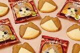 「ねこねこ新作「にゃんともおいしいスコーン」2月2日発売　「はちわれ」模様がかわいい」の画像2