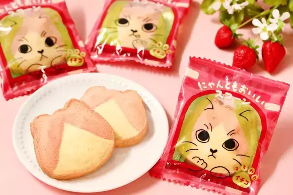 「ねこねこ新作「にゃんともおいしいスコーン」2月2日発売　「はちわれ」模様がかわいい」の画像