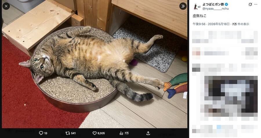 なんという無防備さ 寝返りを打った瞬間に“虚無”に突入したキジトラ猫