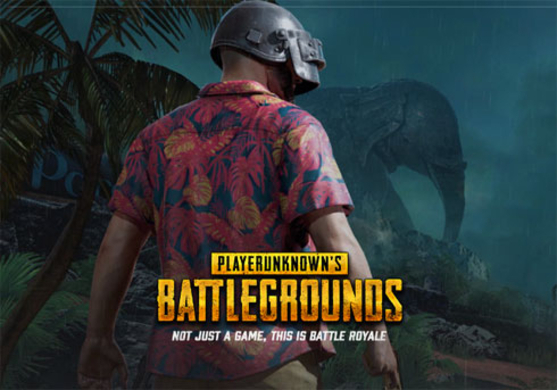 衝撃 Pubgのプロプレイヤーがチート行為でアカウントバン 関わったチームの一員もバン対象 19年1月11日 エキサイトニュース