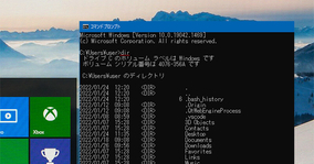 【Windows】「dir」コマンドでファイルやフォルダを表示する方法を解説