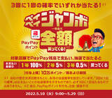 「d払い・PayPay・楽天ペイ・au PAYキャンペーンまとめ【5月22日最新版】」の画像16