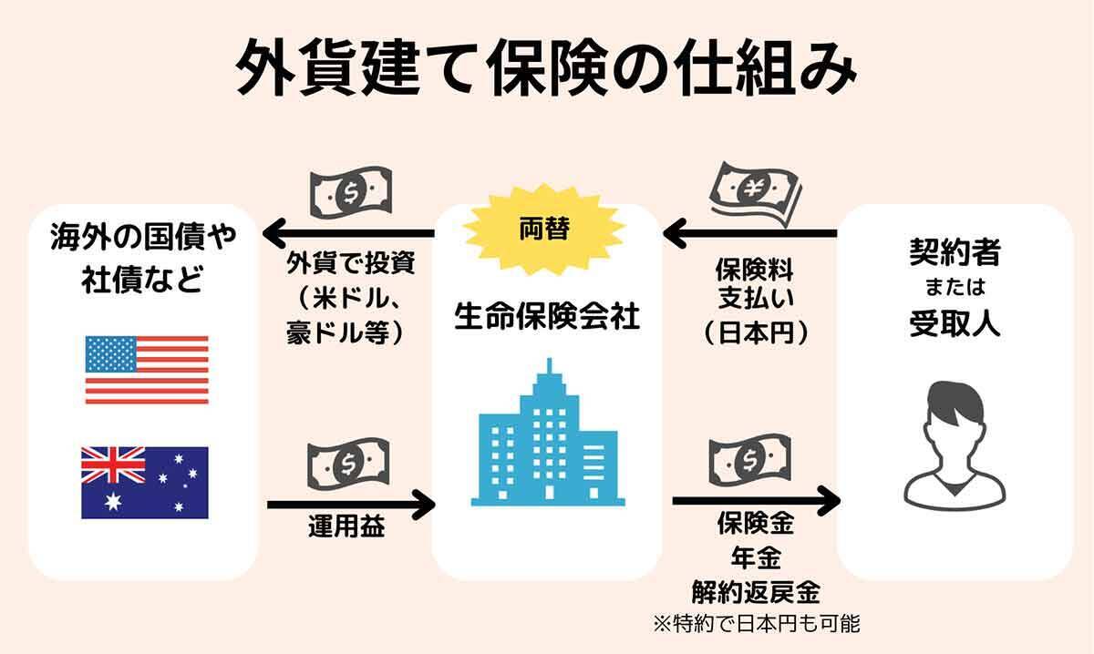 外貨建て保険はやってはいけない？損？積立前に確認すべきこととおすすめ保険3選