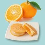 「全国の優れた土産品延べ61商品を発表　「2025年度ニッポンおみやげアワード」」の画像1