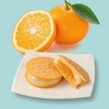 全国の優れた土産品延べ61商品を発表　「2025年度ニッポンおみやげアワード」