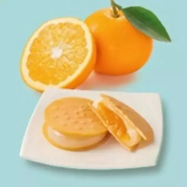 全国の優れた土産品延べ61商品を発表　「2025年度ニッポンおみやげアワード」