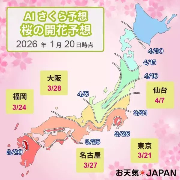2026年「AIさくら予想」発表！　一番乗りは熊本・佐賀で3/20、東京は3/21に開花見込み