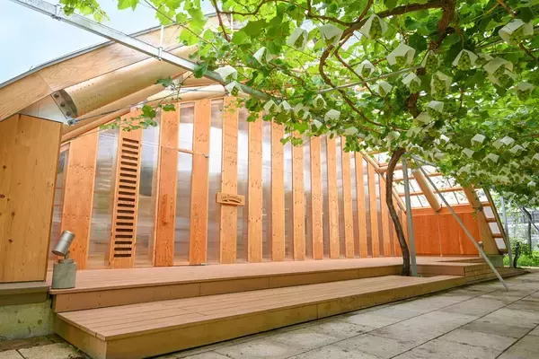 冬も緑あふれる温室カフェ　メキシコと金沢が響き合う料理