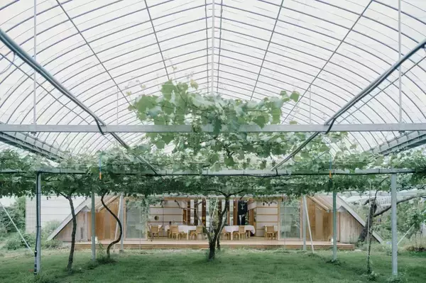 「冬も緑あふれる温室カフェ　メキシコと金沢が響き合う料理」の画像