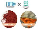 「リコピンをバイオプロセスで量産化する実証に成功　ハリマ化成グループと地球環境産業技術研究機構が共同研究　」の画像1