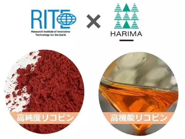 「リコピンをバイオプロセスで量産化する実証に成功　ハリマ化成グループと地球環境産業技術研究機構が共同研究　」の画像