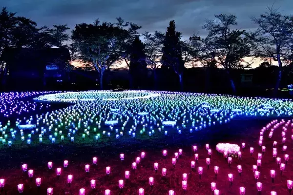 新潟県小千谷市でイルミネーションイベント　市内3会場で「オヂヤホタル」、24日まで開催