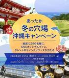 「ANAグループが冬の沖縄キャンペーン搭乗でグッズプレゼント、「NAHAマラソン」協賛も」の画像1