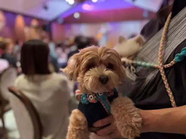 犬と一緒に音楽を楽しむ癒やしの時間　霞町音楽堂で「わんわんサウンドシエスタVol.3」を開催