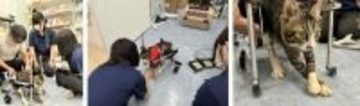 義肢装具学ぶ学生が動物のQOL向上へ研究会を発足　広島国際大学、動物病院や動物園と連携し治療の可能性を広げる