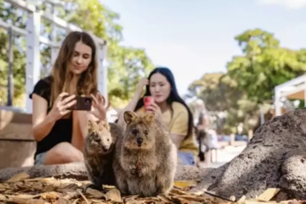 「猛暑を逃れる「クールケーション」　オーストラリア極上の避暑旅」の画像