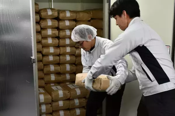 “古米”の概念を問い直す泉大津市　熟成米プロジェクト始動