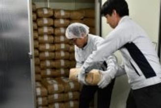 “古米”の概念を問い直す泉大津市　熟成米プロジェクト始動