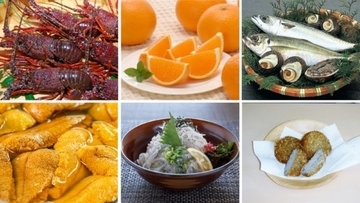 愛媛県伊方町、佐田岬観光公社、ジオテクノロジーズが連携協定　「食」の発信と関係人口の増大目指す