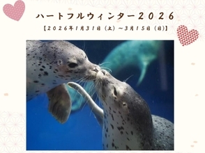 かわいい生き物たちに心がほっこり　新潟・上越市立水族博物館でバレンタイン＆ホワイトデーイベント