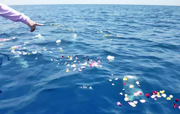 「海に還る」という選択肢を　海洋散骨のリアルを体験する「海の日の散骨体験クルーズ」を東京湾で開催
