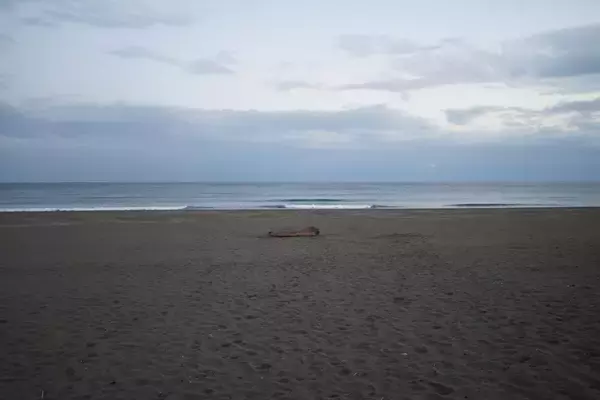 〝ちょうどいい〟高知県黒潮町　自然そのものをアートに、本物のぜいたくに触れる　癒やしを求めてデトックス