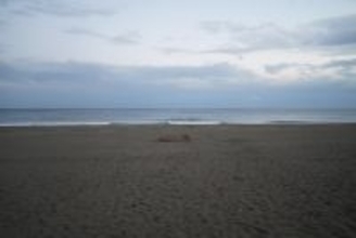 〝ちょうどいい〟高知県黒潮町　自然そのものをアートに、本物のぜいたくに触れる　癒やしを求めてデトックス