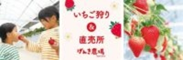 「あまりん」など5品種を食べ比べ　埼玉の「羽生農場」で1月31日からいちご狩りがスタート
