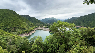 【高知の山】林業の村からユズの里へ、知恵で未来をつないだ馬路村