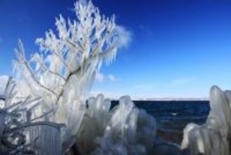 福島・猪苗代湖の厳冬期の風物詩「しぶき氷」が見頃に　「幻想的な風景」、県がおすすめスポット紹介