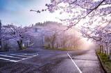 「春だって楽しい茨城県の笠間山　桜やつつじで目の保養」の画像1